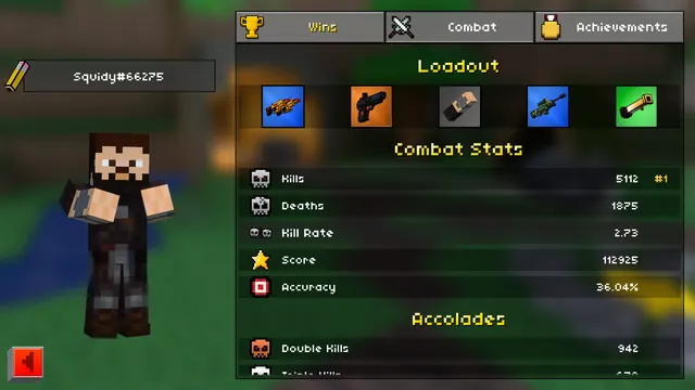 A player profile with loadout and combat stats